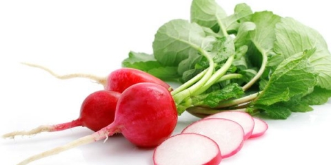 Kako zamrznuti rotkvice: da li je moguće zamrznuti, kako sušiti, kako čuvati